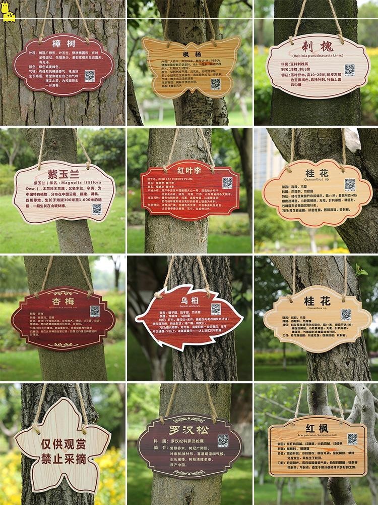 自然与人文的对话 树木铭牌如何点亮校园与公园的绿色空间